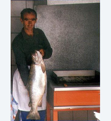 Record photograph for Salmo letnica